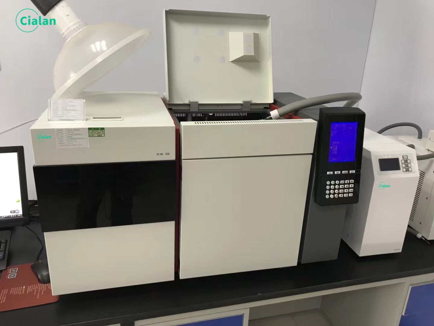 gc ms chromatography